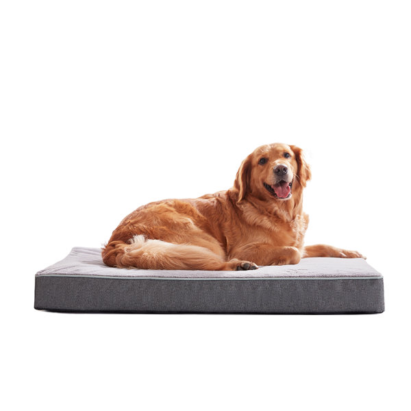 Tucker Murphy Pet™ Orthopedic Memory Foam Dog Bed, Anti Anxiety Bed For